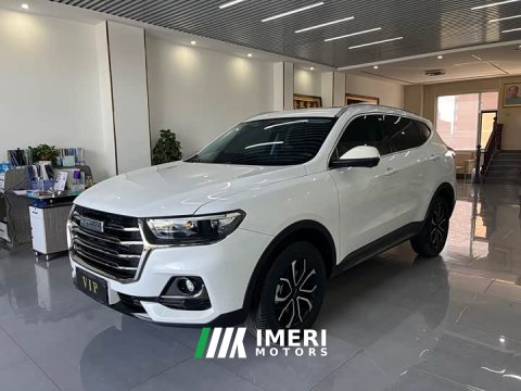 2023 Haval H6 National Trend Edition 1.5T Automatic Urban Version - ავტომობილი ჩინეთიდან