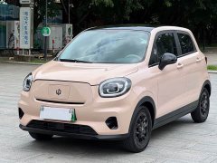 Leapmotor T03 310 Lite Enjoy Edition - ფოტო 1