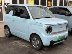 Geely Panda Mini 200km Endurance Edition - ფოტო 2