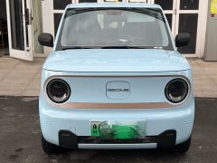 Geely Panda Mini 200km Endurance Edition - ფოტო 3