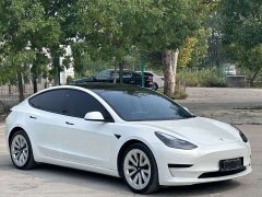 Tesla Model 3 Standard Range RWD Upgrade 3D6 - ფოტო 3