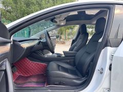 Tesla Model 3 Standard Range RWD Upgrade 3D6 - ფოტო 4