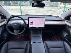 Tesla Model 3 Standard Range RWD Upgrade 3D6 - ფოტო 5