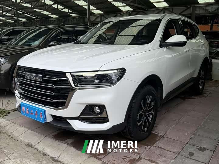 Haval H6 2021 National Trend Edition 1.5T Automatic Urban Version - ავტომობილი ჩინეთიდან
