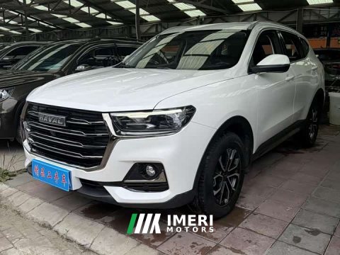 2022 Haval H6 2021 National Trend Edition 1.5T Automatic Urban Version - ავტომობილი ჩინეთიდან