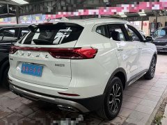 Haval H6 2021 National Trend Edition 1.5T Automatic Urban Version - ფოტო 6