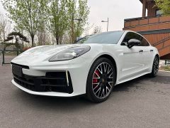 Porsche Panamera 2.9T - ფოტო 1