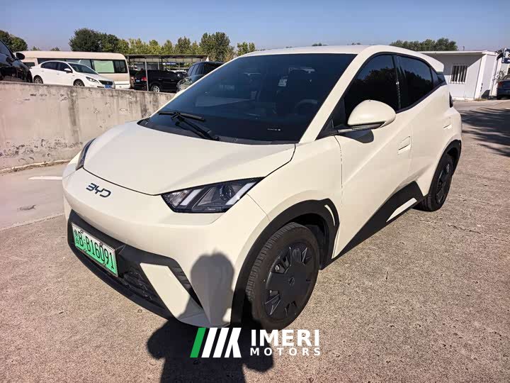 BYD Seagull 305km Vitality Edition