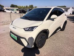 BYD Seagull 305km Vitality Edition - ფოტო 1