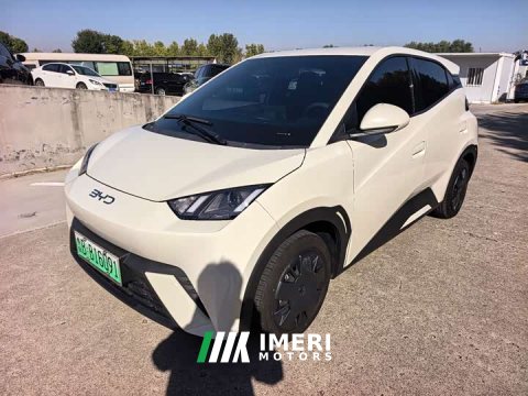 2025 BYD Seagull 305km Vitality Edition - ავტომობილი ჩინეთიდან