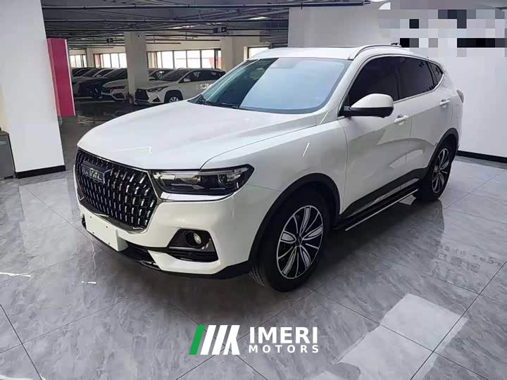 Haval H6 2023 National Trend Edition 1.5T Automatic Champion Version - ავტომობილი ჩინეთიდან