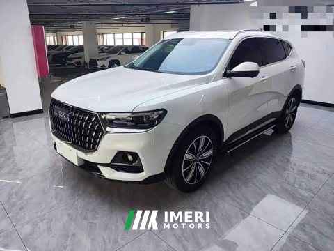 2024 Haval H6 2023 National Trend Edition 1.5T Automatic Champion Version - ავტომობილი ჩინეთიდან