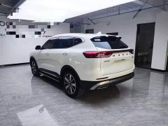 Haval H6 2023 National Trend Edition 1.5T Automatic Champion Version - ფოტო 6