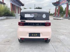 Wuling Hongguang MINIEV 2021 Macaron Sandwich Edition 120km LFP Battery - ფოტო 8