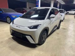 BYD Seagull Glory Edition 305km Freedom Version - ფოტო 1