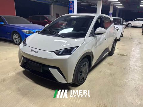 2024 BYD Seagull Glory Edition 305km Freedom Version - ავტომობილი ჩინეთიდან
