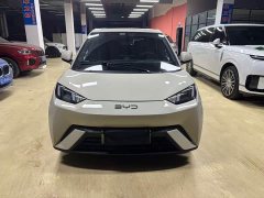 BYD Seagull Glory Edition 305km Freedom Version - ფოტო 2