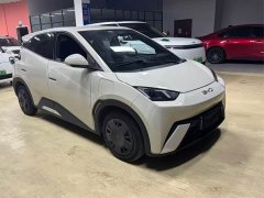 BYD Seagull Glory Edition 305km Freedom Version - ფოტო 3