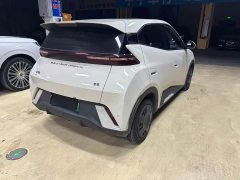 BYD Seagull Glory Edition 305km Freedom Version - ფოტო 9