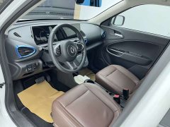 ORA White Cat 2020 305km Luxury - ფოტო 8