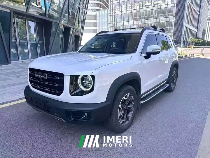 Great Wall Haval Big Dog Dachshund 2.0T DCT Four-Wheel Drive Chinese Rural Dog Edition - ავტომობილი ჩინეთიდან