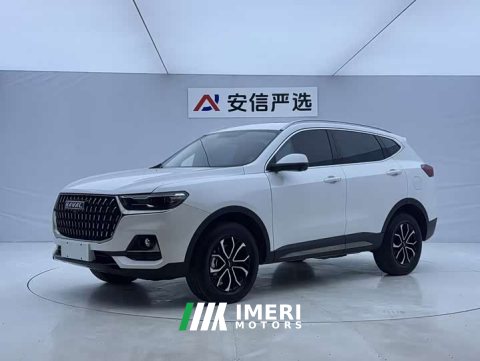 2023 Haval H6 National Trend Edition 1.5T Automatic Urban Version - ავტომობილი ჩინეთიდან