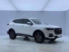 Haval H6 National Trend Edition 1.5T Automatic Urban Version - ფოტო 3