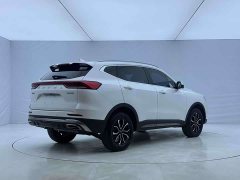Haval H6 National Trend Edition 1.5T Automatic Urban Version - ფოტო 6