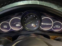 Porsche Panamera New Energy Panamera 4 E-Hybrid 2.9T - ფოტო 8