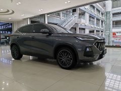 Changan Oushan X5 2021 1.5T DCT Premier - ფოტო 3