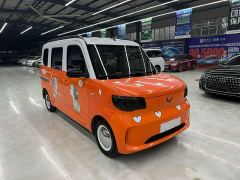 Wuling Zhiguang New Energy 201km Comfort - ფოტო 3