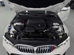 BMW 3 Series 320Li M Sport Package - ფოტო 17