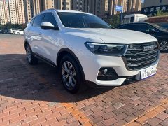 Haval H6 National Trend 1.5T Automatic Champion Edition - ფოტო 2