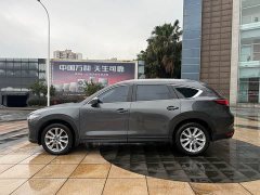 Mazda CX-8 2019 2.5L AWD Premium - ფოტო 7