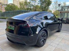 Tesla Model Y 2023 Rear-Wheel Drive - ფოტო 10
