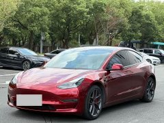Tesla Model 3 Performance All-Wheel Drive - ფოტო 3