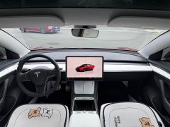 Tesla Model 3 Performance All-Wheel Drive - ფოტო 5