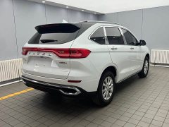 Haval M6 2021 PLUS 1.5T DCT Luxury Smart Connected Edition - ფოტო 6