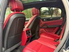 Porsche Cayenne S Coupé 2.9T Platinum Edition - ფოტო 9