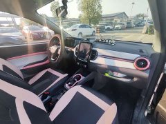 Chery Ant 2022 Sweet Pink Half-Sugar Ternary Lithium 30kW 301km - ფოტო 12
