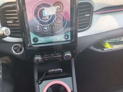 Chery Ant 2022 Sweet Pink Half-Sugar Ternary Lithium 30kW 301km - ფოტო 15