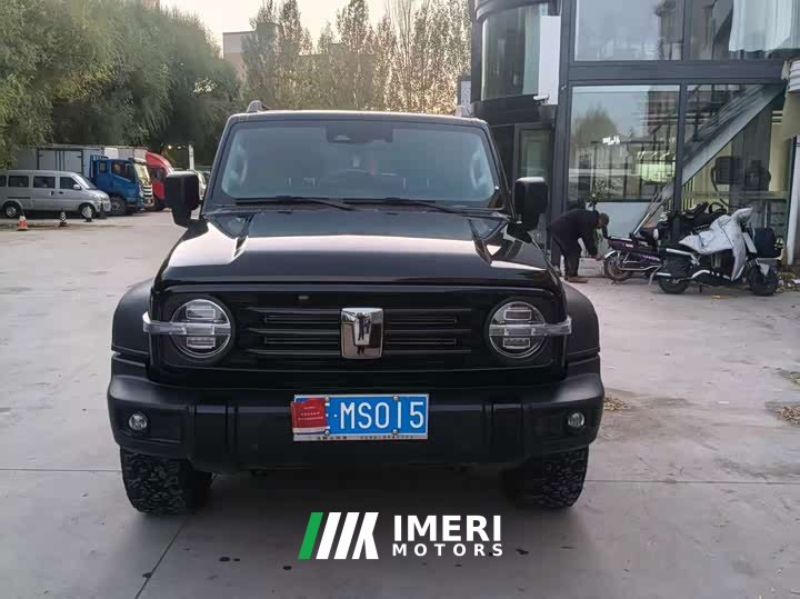 Tank 300 2.0T Gasoline Conqueror - ავტომობილი ჩინეთიდან