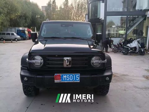 2025 Tank 300 2.0T Gasoline Conqueror - ავტომობილი ჩინეთიდან