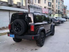 Tank 300 2.0T Gasoline Conqueror - ფოტო 6