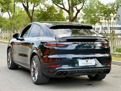 Porsche Cayenne S Coupé 2.9T Platinum Edition - ფოტო 4