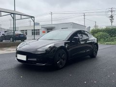 Tesla Model 3 Facelift Standard Range RWD Upgrade 3D1 - ფოტო 1