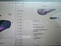 Tesla Model 3 Facelift Standard Range RWD Upgrade 3D1 - ფოტო 4