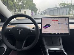 Tesla Model 3 Facelift Standard Range RWD Upgrade 3D1 - ფოტო 8