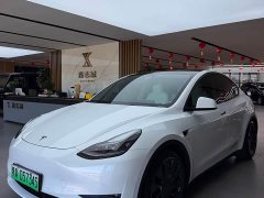 Tesla Model Y 2022 Performance All-Wheel Drive - ფოტო 1