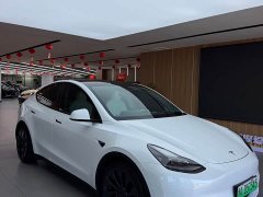 Tesla Model Y 2022 Performance All-Wheel Drive - ფოტო 2